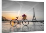Bicycle and Eiffel tower by Assaf Frank